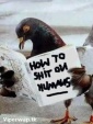 Howfunny ntbfxbfv 3
